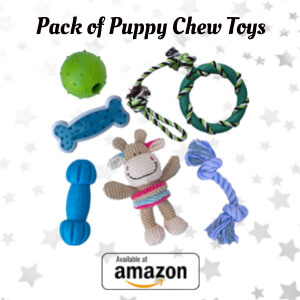 Pack of Puppy Chew Toys