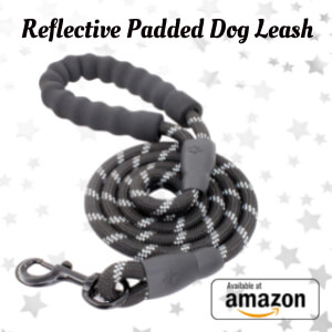 Reflective Padded Dog Leash
