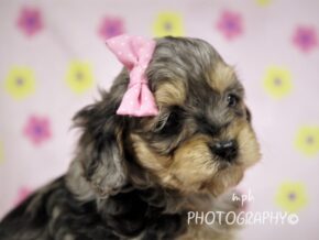 Photo of Rita