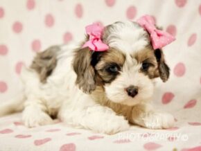 Photo of Karmen