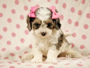 Photo of Karmen