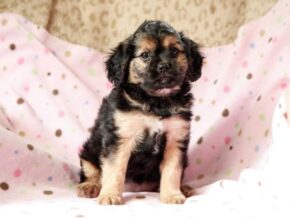 Photo of Rowena