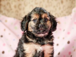 Photo of Rowena
