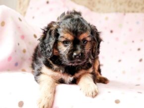 Photo of Rowena