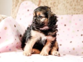 Photo of Rowena