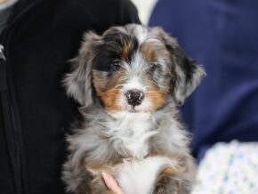 Photo of Edgar