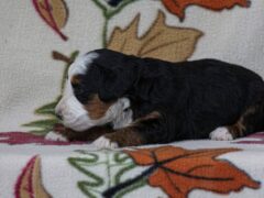 Photo3 for Madelyn