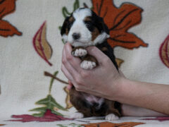 Photo2 for Madelyn