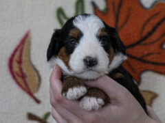 Photo4 for Madelyn