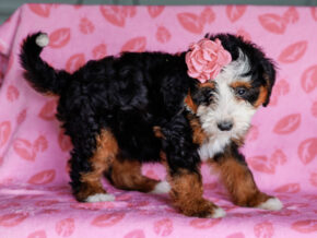 Photo of Madelyn