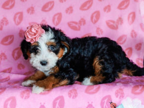Photo of Madelyn