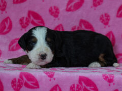 Photo3 for Makenzie