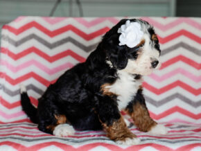 Photo of Makenzie
