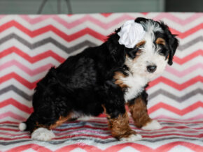 Photo of Makenzie