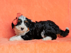 Photo of Martina