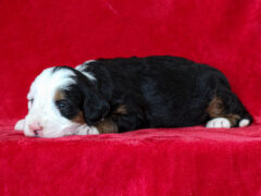 Photo4 for Matilda