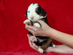 Photo3 for Matilda