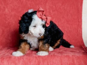 Photo of Matilda
