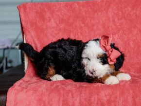 Photo of Matilda