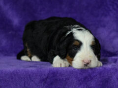 Photo3 for Maylin