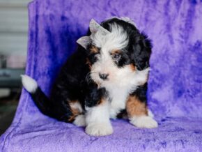 Photo of Maylin