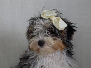 Photo of Sharlena