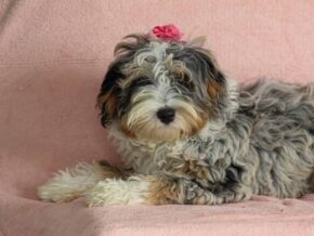 Photo of Shirley