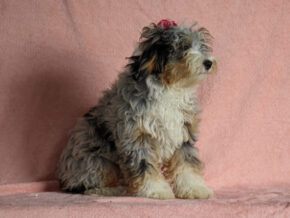 Photo of Shirley
