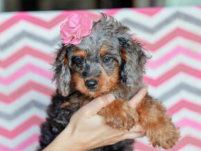 Photo of Gwen