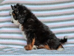 Photo of Elena