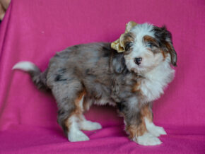 Photo of Elnora