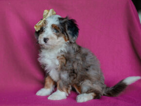 Photo of Elnora