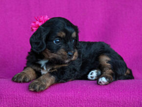Photo of Elaina