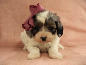 Photo of Esther