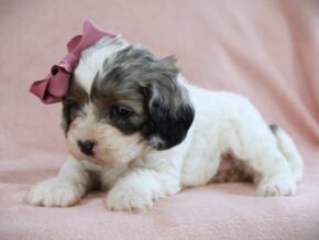 Photo of Esther
