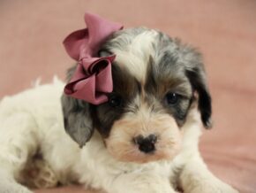 Photo of Esther