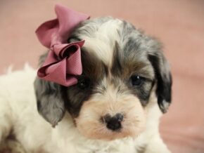 Photo of Esther