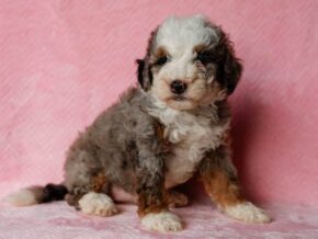 Photo of Sonya